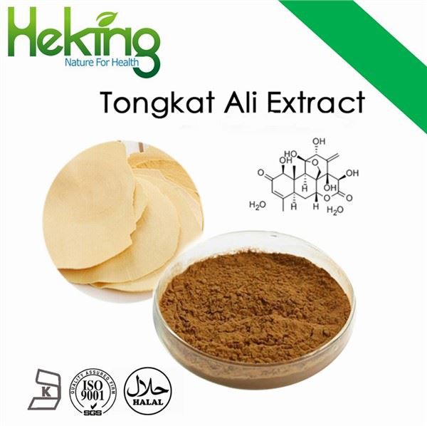 Eurycoma Longifolia Jack Extract