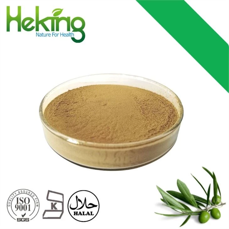 Olive Leaf Extract