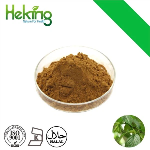 Chlorogenic Acid Extract