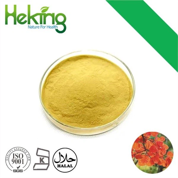 Fisetin Powder
