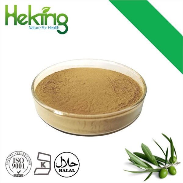 Olive Leaf Extract