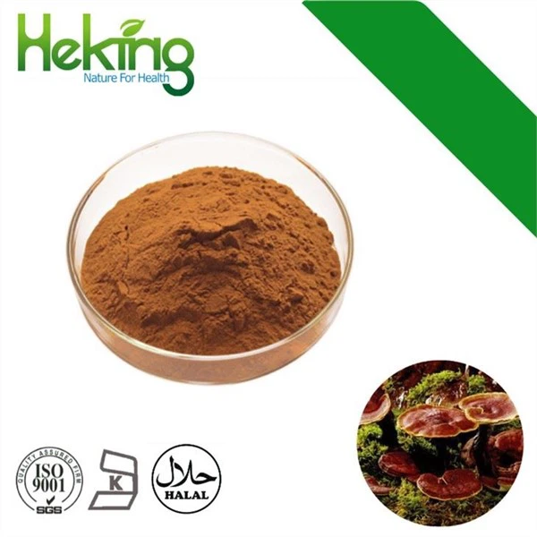 Reishi Mushroom Powder