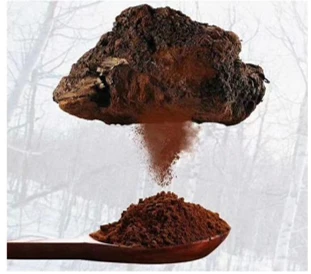 Chaga Mushroom Extract best