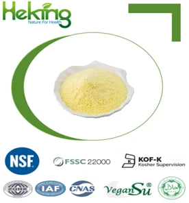 Alpha Lipoic Acid