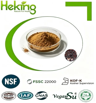Black Cumin Extract