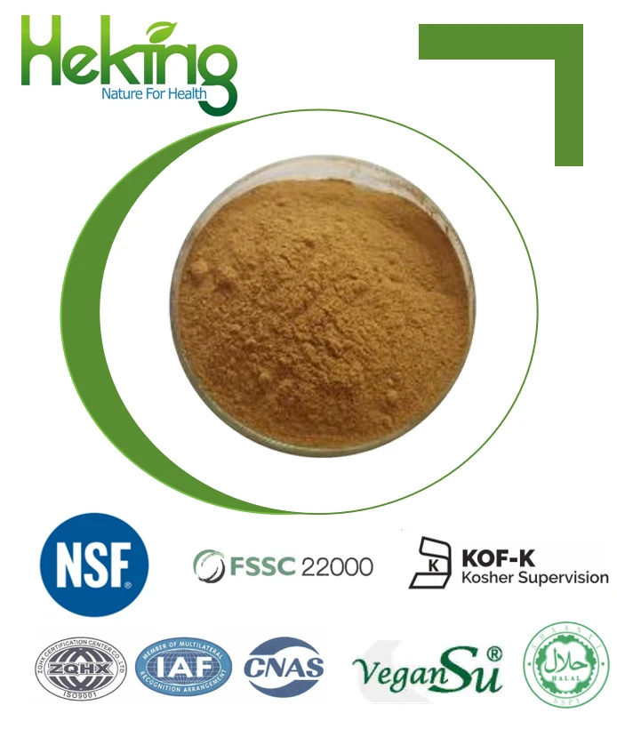 Chaga Mushroom Extract