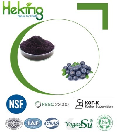 Blueberry Extract