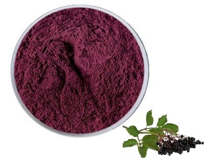 Elderberry Powder2 Elderberry Powder2