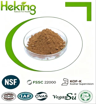 Salacia Oblonga Extract