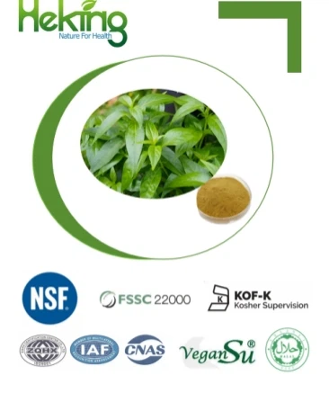 Andrographis Paniculata Extract