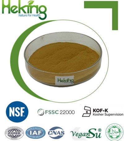 Burdock Root Extract