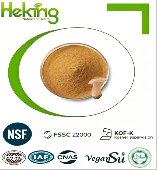 Porcini Mushroom Extract