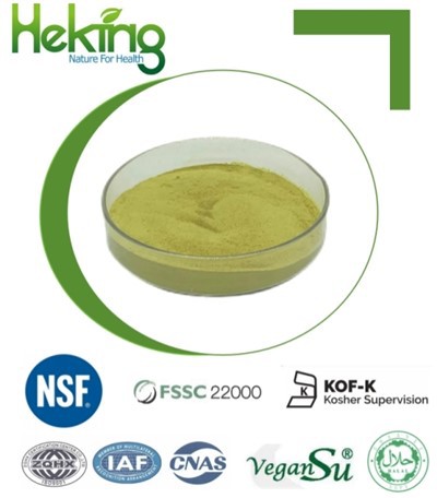 Sophora Japonica Extract