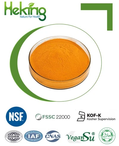 Vitamin B2 / Riboflavin
